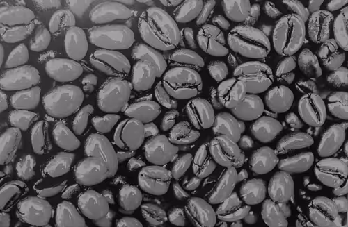 Item #39425846421802280996231740338929997167545085552399292352466571963689414426625 Media