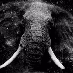 97390858549290517915673057044451120522321858296040786888435299455100375793665