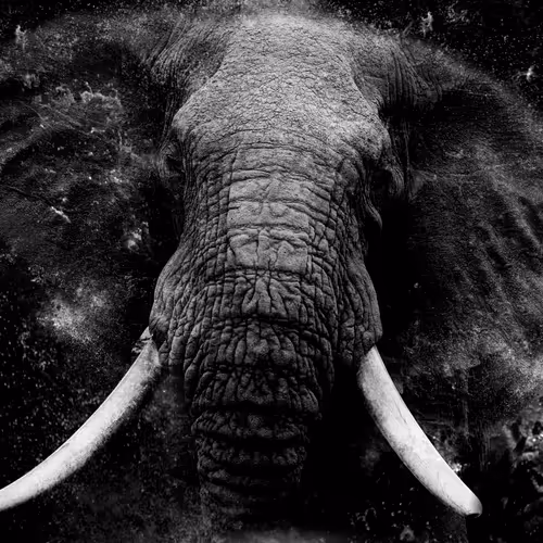 97390858549290517915673057044451120522321858296040786888435299455100375793665