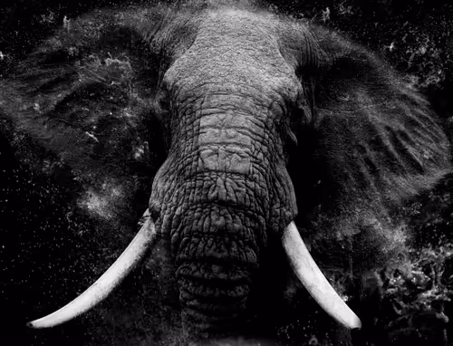 Item #97390858549290517915673057044451120522321858296040786888435299455100375793665 Media