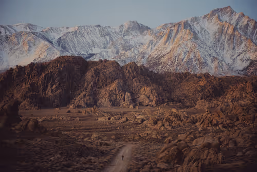 Item #31808388363413950485853344810584648245569292954674958749776460879516357623809 Media