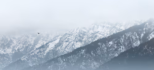 Item #100125324817140700473098673733568876555088890877521994710768706049613026557953 Media