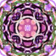 77233426773419589753287526850627918539695595278018771870090048601578803298305