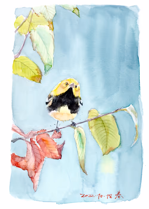 Item #106946685177321422894597018356236354695280459697270820236302694156379598356481 Media