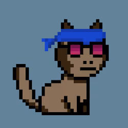 CryptoPunkCat #9265