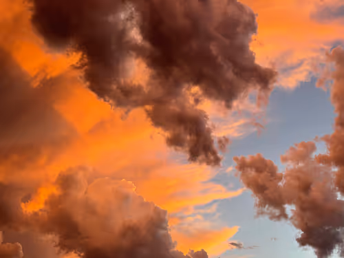 Item #19684374529110288056520570276703370007863893692966726326193838034930534187009 Media