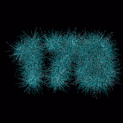 Item #31186271462743839332083495437684930572283654238385709344730711061961707094017 Media