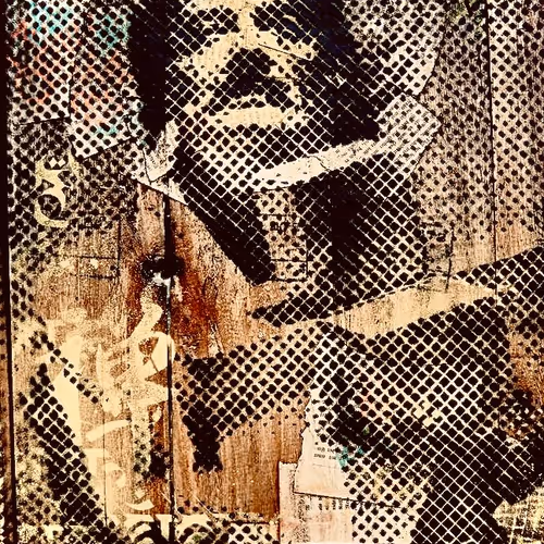 Sholaart Collection