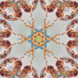Pattern perfect #0002 The Creation of Adam
