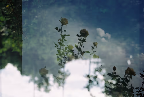 Item #36870937180657708752056408126285462976038815570609373899069711141920581877761 Media