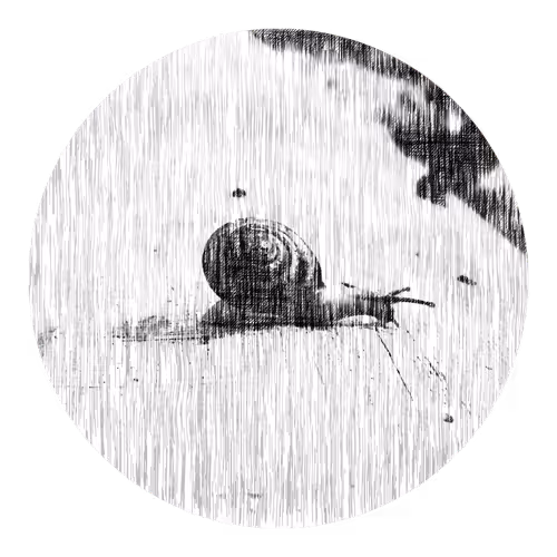 Item #73474911565276893363269127585336255498112534630235322163062143142522869776385 Media