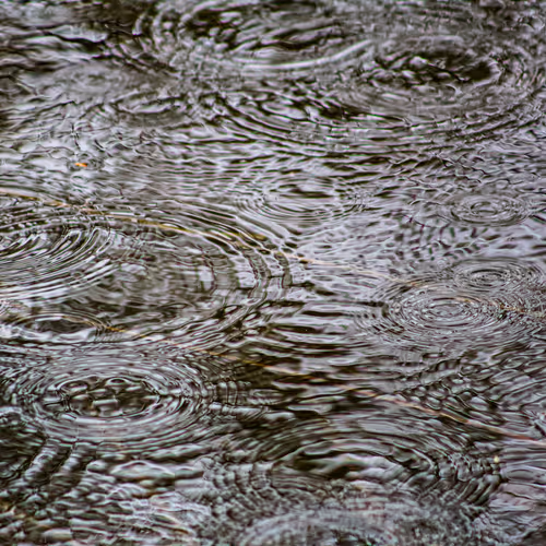 Item #110563264937173630415102547684714144673786021135482478862181301905405348151297 Media