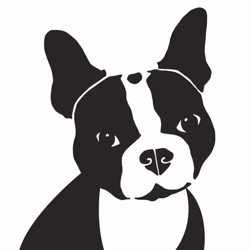 TalkingPoints Collection