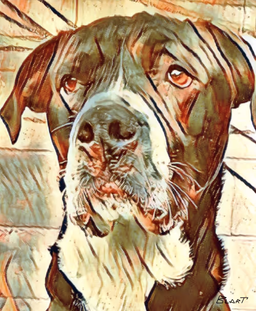 Item #100912189096696144949180120692345760590440403347893883972252148238372099325953 Media