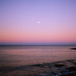 Vast Shores #14