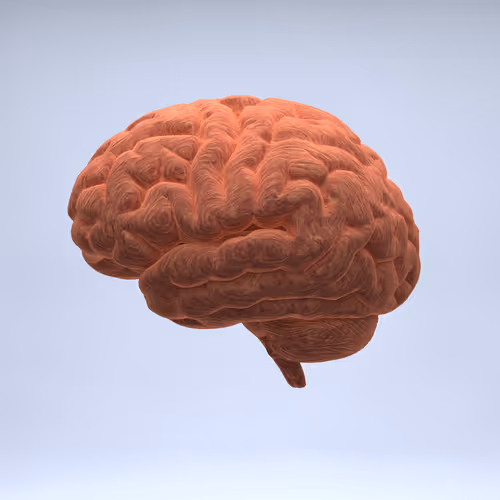 Item #77412820926303725204956055566925211190020908428863033075197849112668398419969 Media