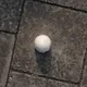 20606594638193961782616267632074913376434958221362708509364622274153859252225