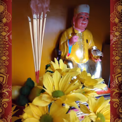 79072709779188642966355070253697088549967377805954392929685013322919275659265