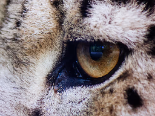 Item #20509465438609277551874808861244890758591647001332639405873676880313101320292 Media