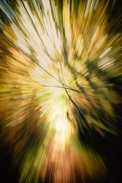 Item #28249669150142615207579555762608265536132247185199409993543532447570669338625 Media