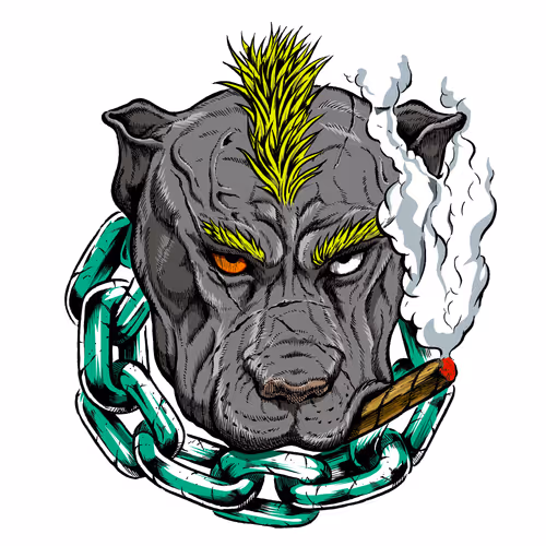 Item #96253313655138226705504031728746155625979506730368912420724373446649578520577 Media