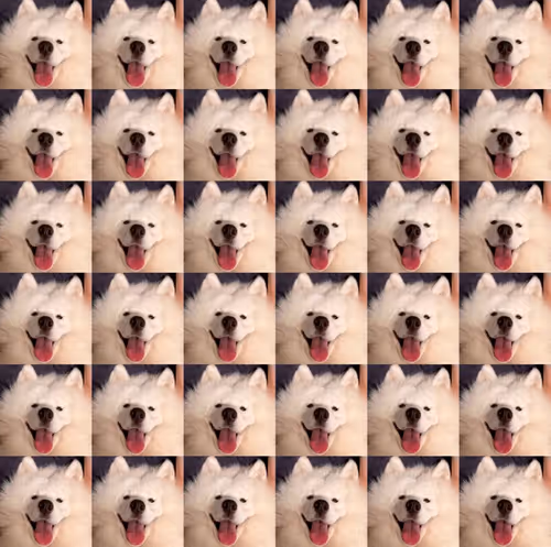 Item #919881104117818023937162122873745772427003128789095818032177438593537540097 Media