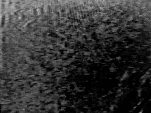 Item #79639980895707485991629648481150009025407867830275840809915670170089000271873 Media