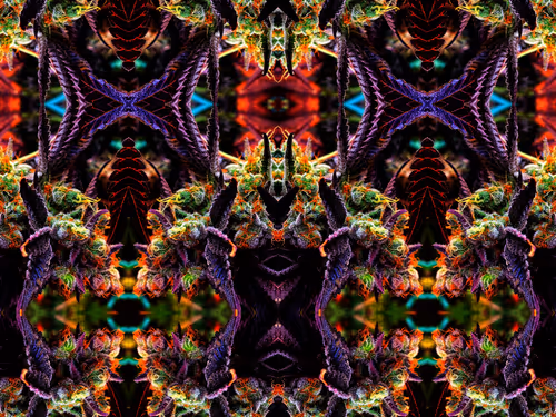 Item #83970981387443879143921485150900069530799783516997234463864977553479006420993 Media