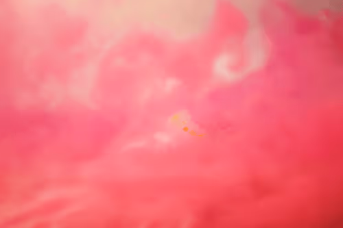 Item #101713277105975589639880448454091243544280285560533982294413790922181779128330 Media