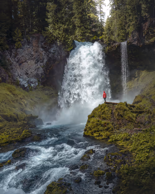 Item #59404681870809906448390957325299961742928436828892721220786848711045172690945 Media