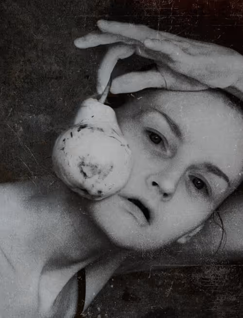 Item #53224625623064457234899396193453356484929368414059306237118540733953020526602 Media