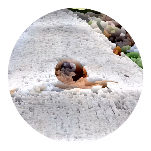 Item #73474911565276893363269127585336255498112534630235322163062143195299427909633 Media