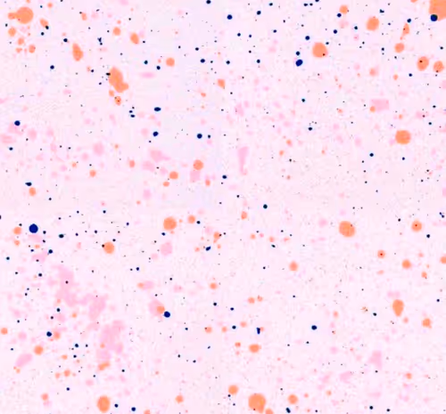 Item #101059706626220687360737941709684114708764594852180202651850425006787617882113 Media