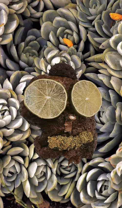 Item #100909502448086356706660368779487088653809768188601857193380374014904978374657 Media