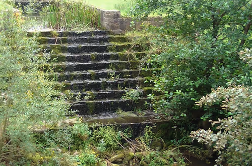 Item #54224321926003694435266939492580043428521878232986181408238757566677684060161 Media