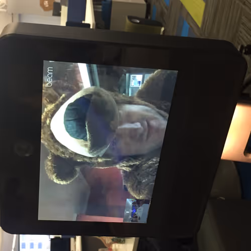 LocalGrocer Collection