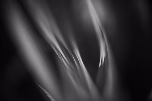 Item #102332330010392241424483100560917049247298654134596954223831831441721190776833 Media