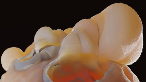 Item #87858548873057691610145785827924316116903784724900626045837509002506704781317 Media