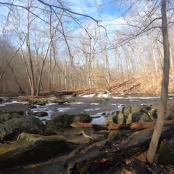 Ridley Creek #8