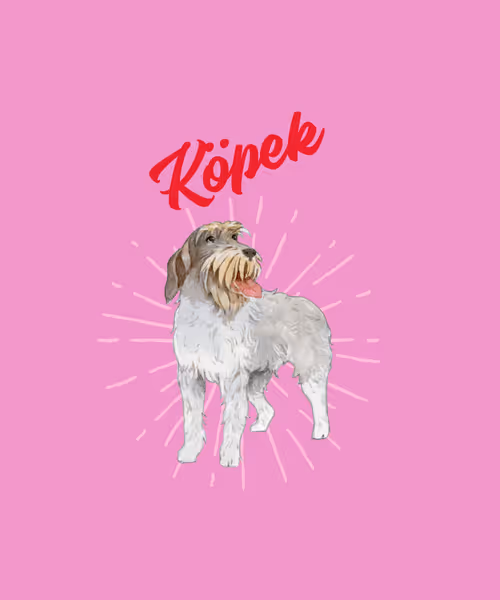 Item #30439941665264406121412249747793927691731400004566964314489913607498793746438 Media