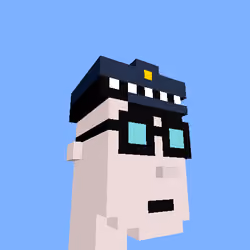 PunkVoxels #9294