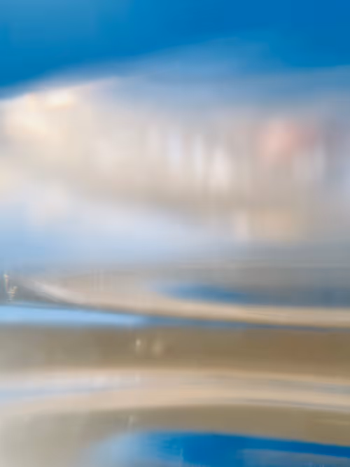 Item #34814088845477629227704468099299342434369579888194691644291829438824140767233 Media