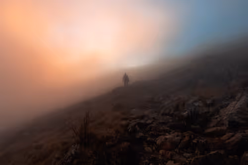 Item #44843267928384616295570388666005333348511305641032866018452810652360672018433 Media