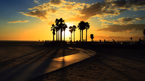 Item #59132355562186324700850821844442436394047262304885251221794294011706013122561 Media