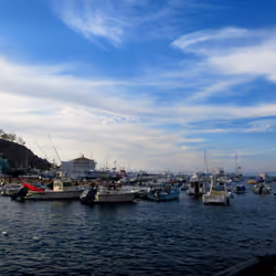 Catalina Sailing Mixer #9