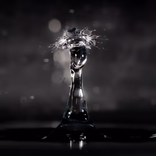 Item #93843816189578981246560604655943518308185846623120940061859981506824103788545 Media