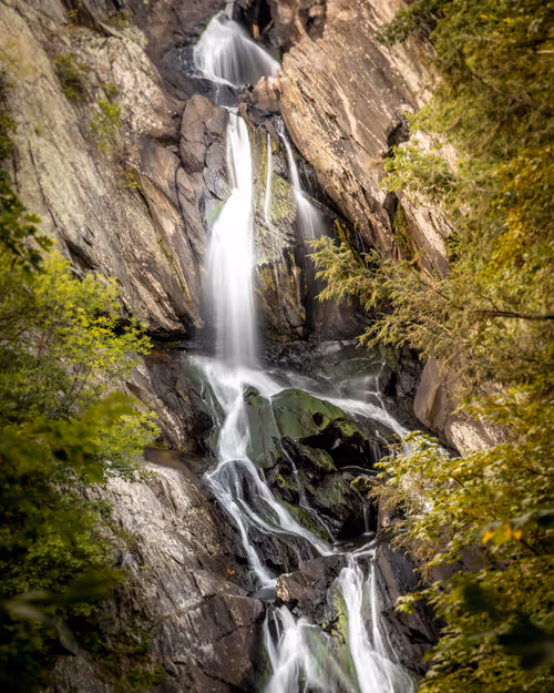 Item #106945587133834259951715489337626990272245183097279849203792177696053733097473 Media