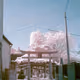 YUUUI's Infrared Photography Collection