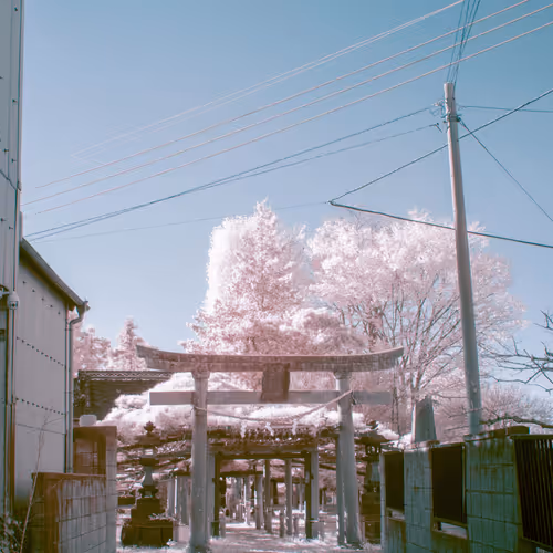 YUUUI's Infrared Photography Collection