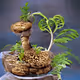 GooeyCrunch Collection